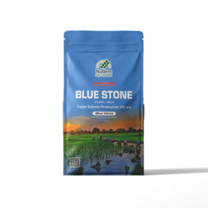 BLUE STONE