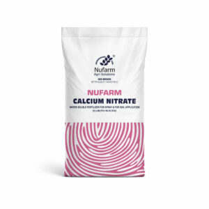 CALCIUM NITRATE