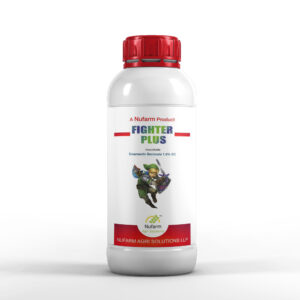 FIGHTER PLUS