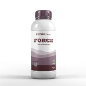 FORCE