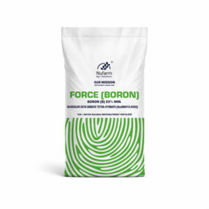 FORCE (BORON)
