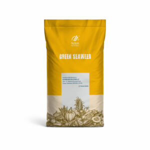 Green Seaweed
