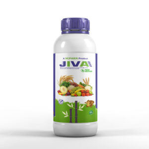 JIVA 200