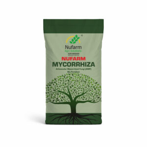 MYCORRHIZA
