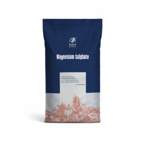 Magnesium Sulphate