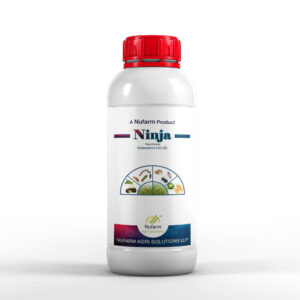 NINJA