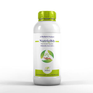NUTRIGIBB