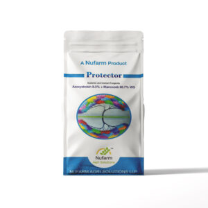 PROTECTOR