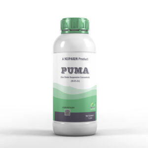 PUMA