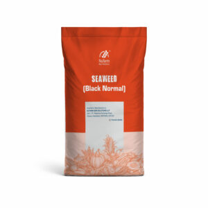 Seaweed - Black Normal