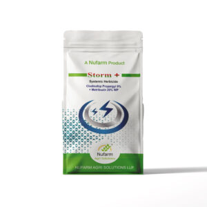 STORM PLUS