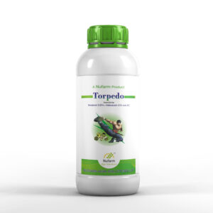 TORPEDO