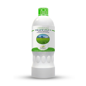 TRAPP PLUS