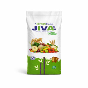 JIVA 100